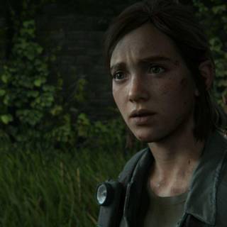 The Last of Us Part II 2020 wallpaper