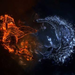 Phoenix bird HD computer wallpaper