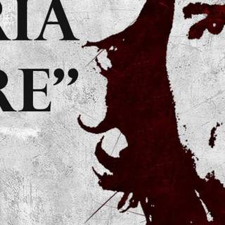 Che Guevara HD mobile wallpaper