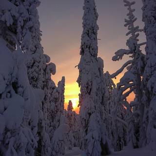 Fiery sunset Lapland wallpaper