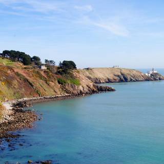 Howth Head Dublin Bay Heather wallpaper