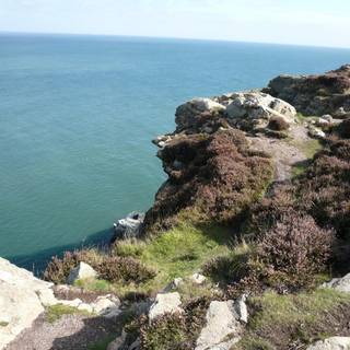 Howth Head Dublin Bay Heather wallpaper