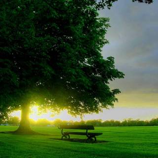 Android 1920*1080 wallpaper