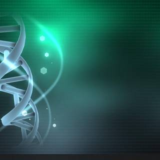 Programming desktop wallpaper