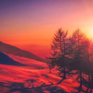 Red nature HD wallpaper