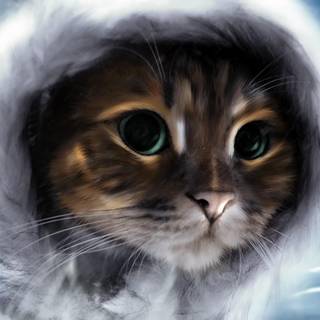 Cat wallpaper 3d