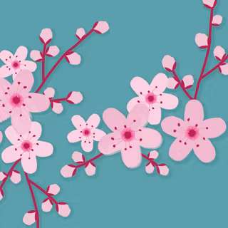 Cherry iPhone wallpaper