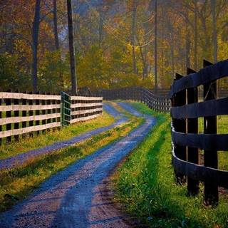 Spring pathways wallpaper