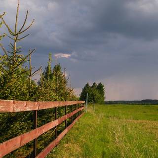 Ranch desktop wallpaper