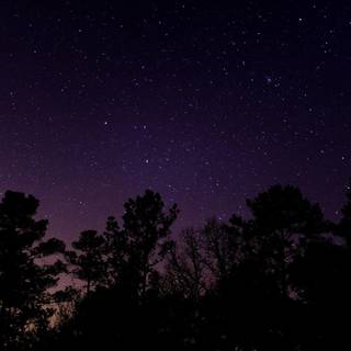 Aesthetic nature tumblr wallpaper