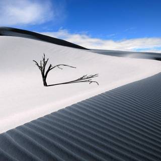White desert dune wallpaper