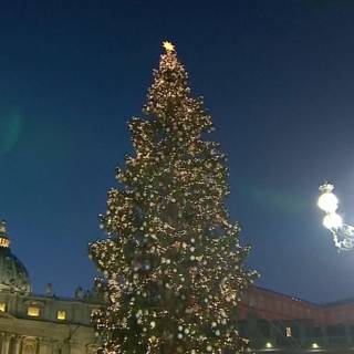 Vatican Christmas wallpaper