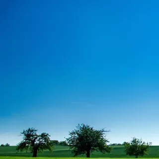 iPhone Panji wallpaper