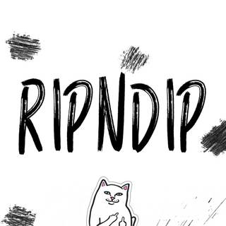 Rip N Dip Lord Nermal Computer wallpaper