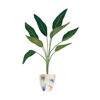 Love plants wallpaper