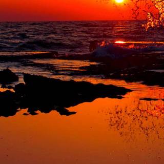 Morning mist glowing sunrise wallpaper