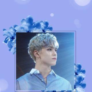 Vernon wallpaper