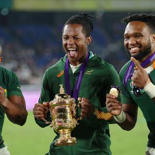 Springboks trophy wallpaper