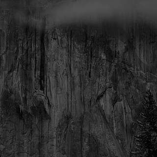 iPhone Xr black wallpaper