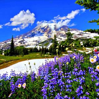 Early spring mountain wallpaper