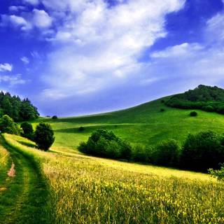 Early spring mountain wallpaper