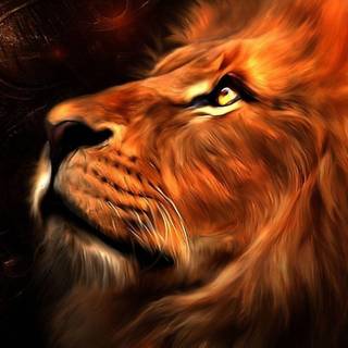 Burning lions HD wallpaper