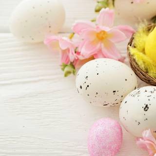 Chicks Easter wallpaper