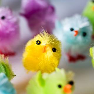 Chicks Easter wallpaper