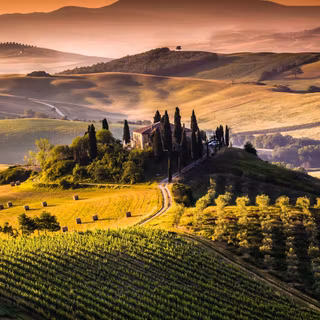 Toscana field desktop 1080p wallpaper