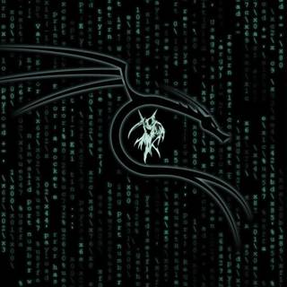 4k desktop Kali Linux wallpaper