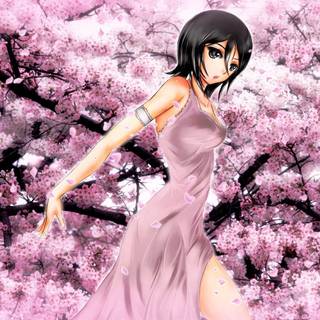 Cherry Blossom anime wallpaper