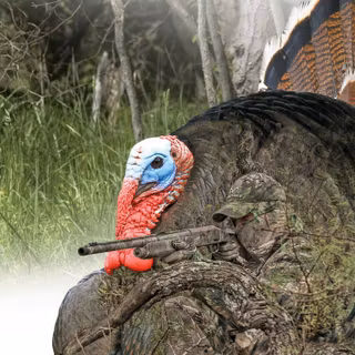 Realtree Android wallpaper