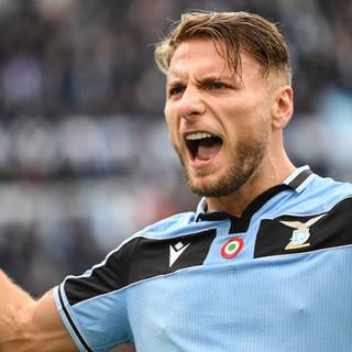 Immobile HD wallpaper