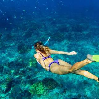 Snorkeling HD wallpaper