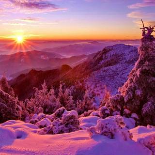 Lovely winter sunset wallpaper