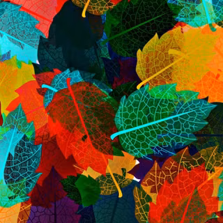 Leaf mobile wallpaper