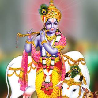 Krishna mobile wallpaper