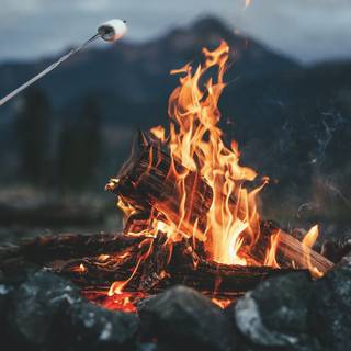 Marshmallow HD mobile wallpaper