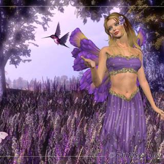Butterfly fairy wallpaper