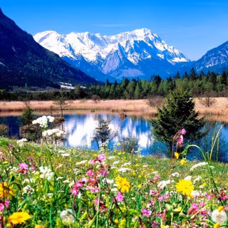 Spring 1024x768 wallpaper