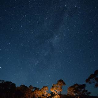 Running train starry night wallpaper