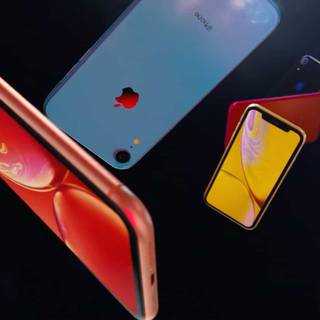 Bernie Sanders oled wallpaper