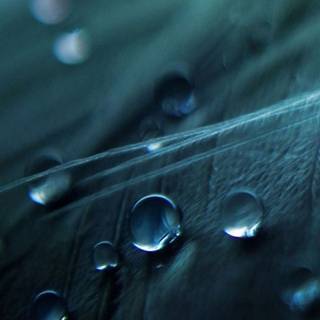 Samsung galaxy s3 full HD wallpaper