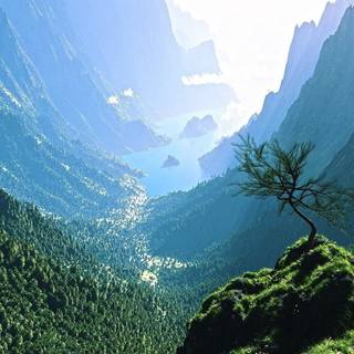 Beautiful Ultra HD wallpaper