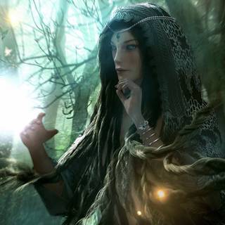 Evening fairies wallpaper