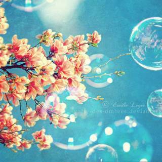 Spring for computers wallpaper