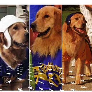 Air Bud 1997 wallpaper