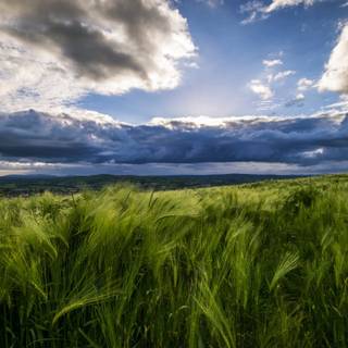 Under the Dome wallpaper