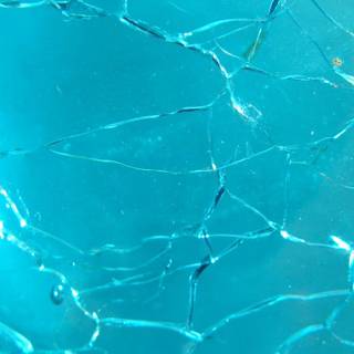 Best for phone screen wallpaper