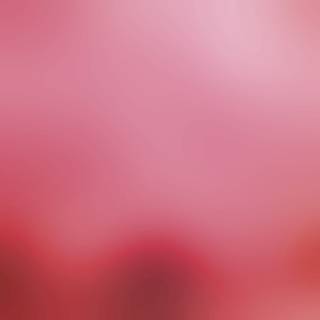 Pink dreams wallpaper